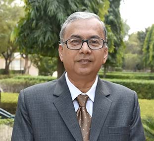 Mr Raja Banerjee