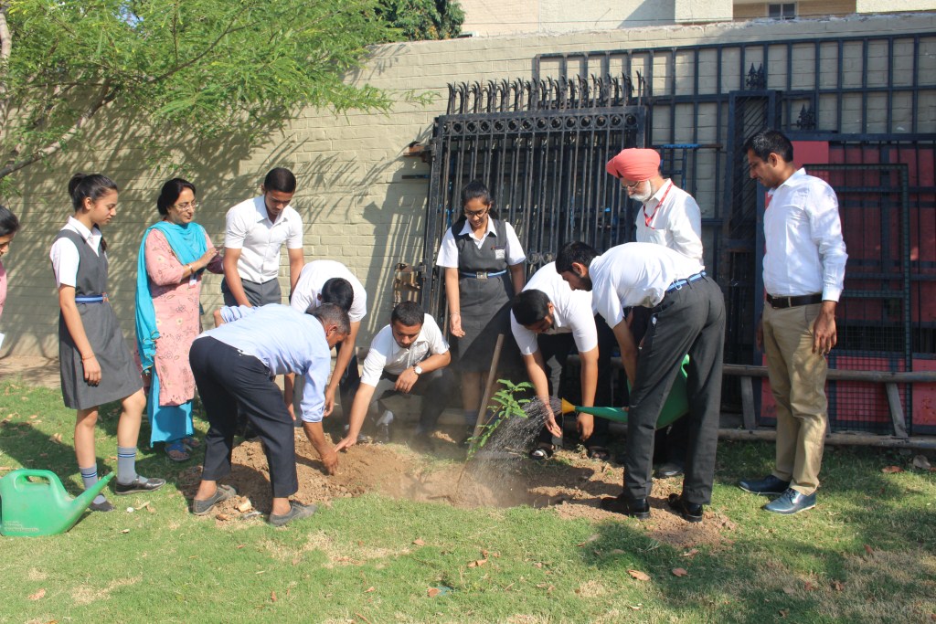 Students at The New Public School Chandigarh Planting Trees